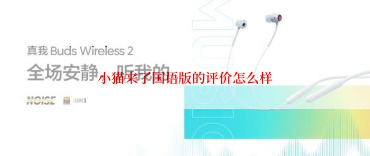 小猫来了国语版的评价怎么样