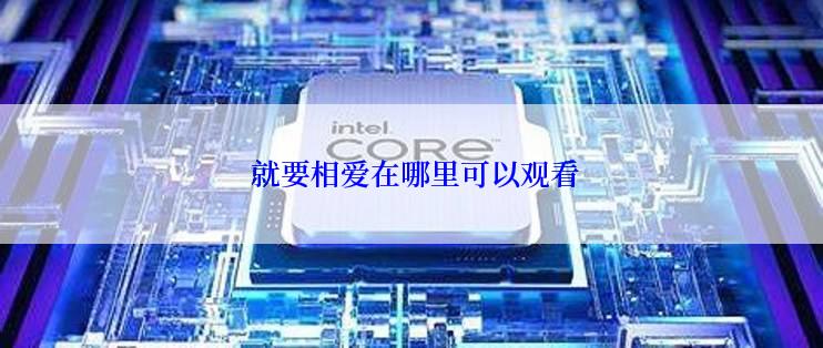 就要相爱在哪里可以观看