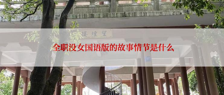  全职没女国语版的故事情节是什么