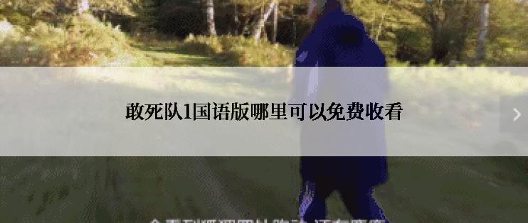 敢死队1国语版哪里可以免费收看