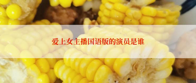 爱上女主播国语版的演员是谁