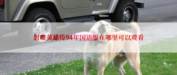 射雕英雄传94年国语版在哪里可以观看