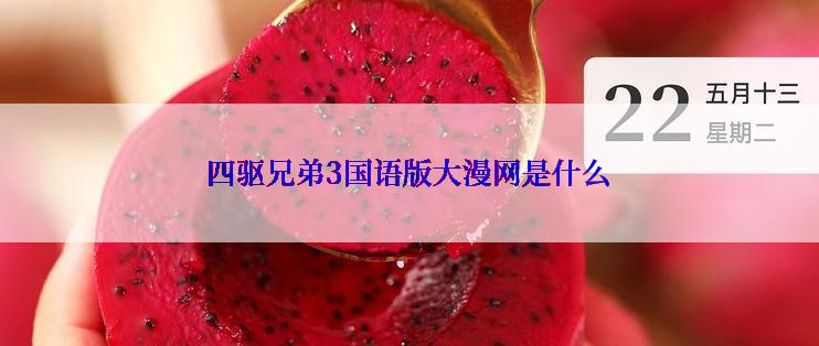 四驱兄弟3国语版大漫网是什么
