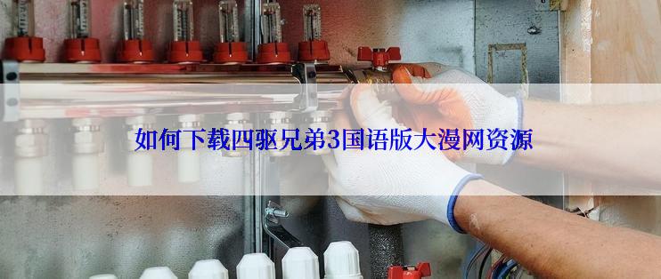 如何下载四驱兄弟3国语版大漫网资源