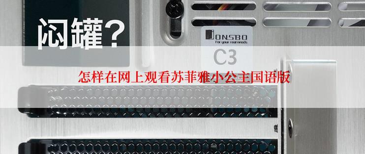 怎样在网上观看苏菲雅小公主国语版