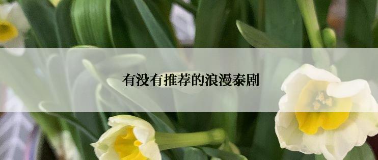 有没有推荐的浪漫泰剧