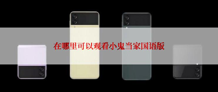 在哪里可以观看小鬼当家国语版