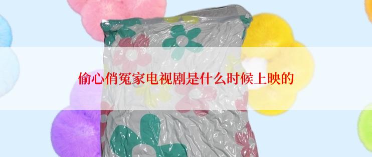 偷心俏冤家电视剧是什么时候上映的