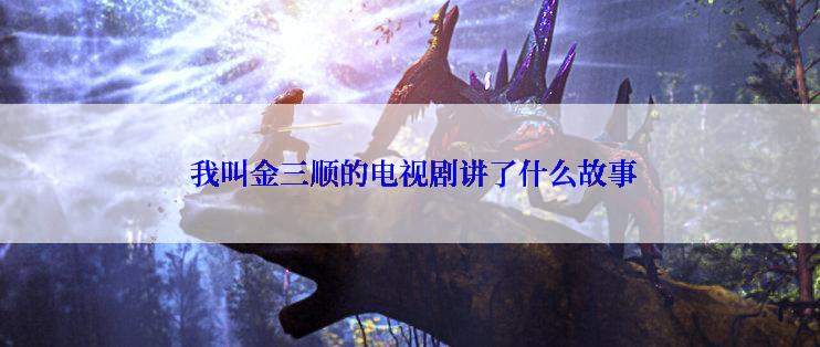 我叫金三顺的电视剧讲了什么故事
