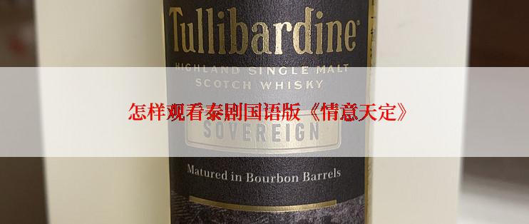  怎样观看泰剧国语版《情意天定》