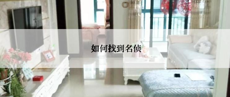  如何找到名侦
