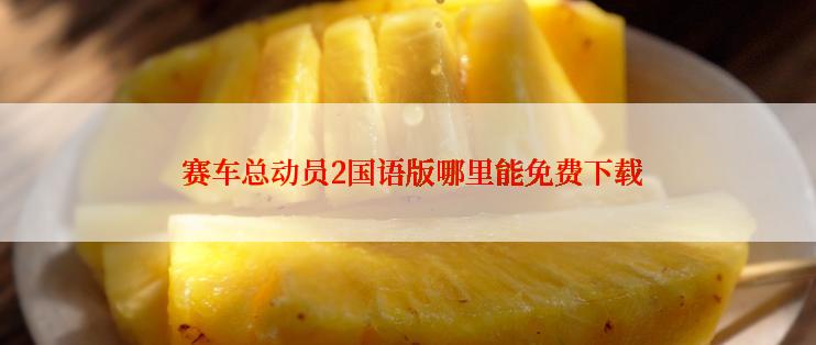 赛车总动员2国语版哪里能免费下载