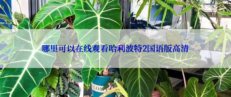 哪里可以在线观看哈利波特2国语版高清