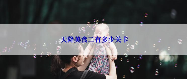  天降美食二有多少关卡