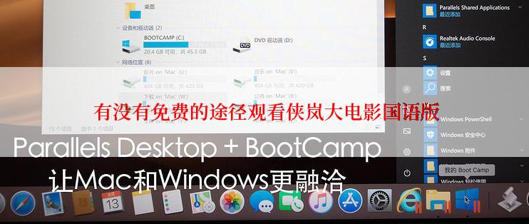  有没有免费的途径观看侠岚大电影国语版