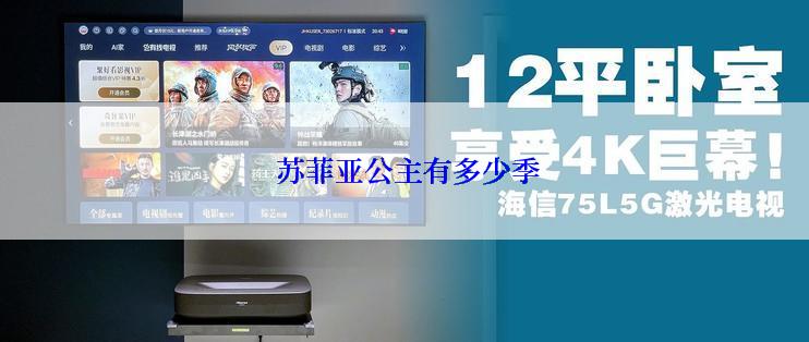  苏菲亚公主有多少季