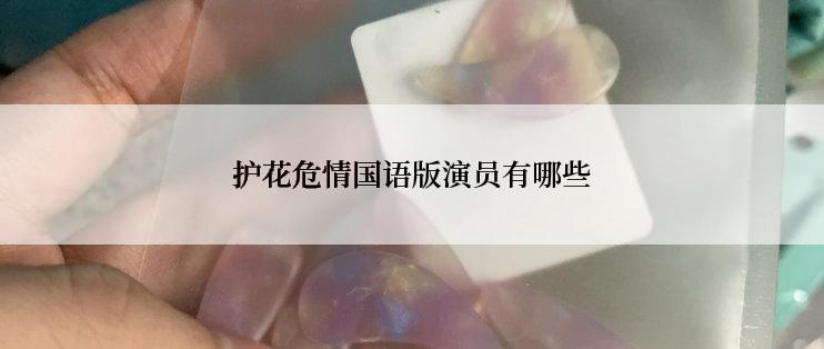 护花危情国语版演员有哪些
