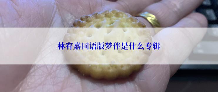 林宥嘉国语版梦伴是什么专辑