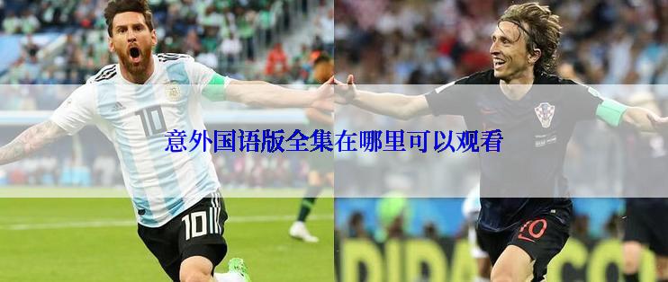 意外国语版全集在哪里可以观看