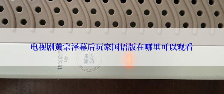 电视剧黄宗泽幕后玩家国语版在哪里可以观看