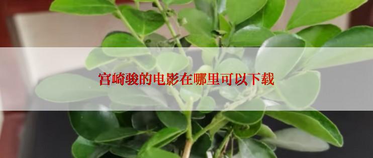 宫崎骏的电影在哪里可以下载