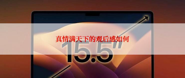 真情满天下的观后感如何