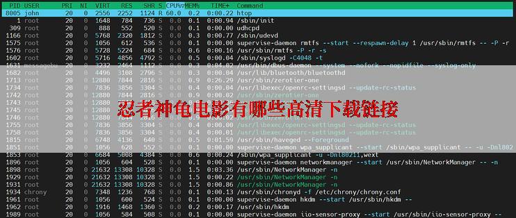 忍者神龟电影有哪些高清下载链接