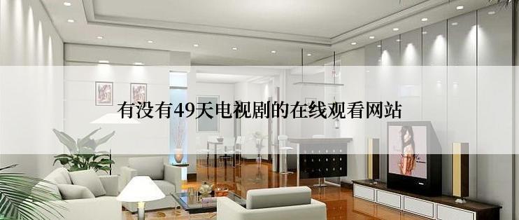 有没有49天电视剧的在线观看网站