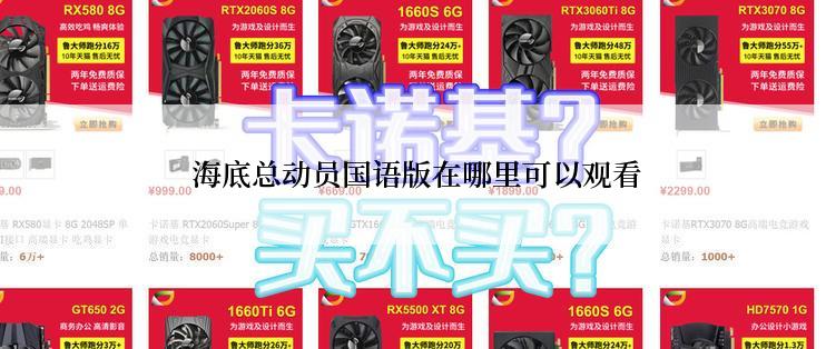  海底总动员国语版在哪里可以观看