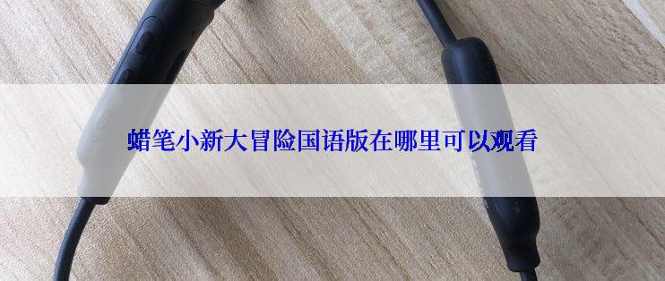 蜡笔小新大冒险国语版在哪里可以观看