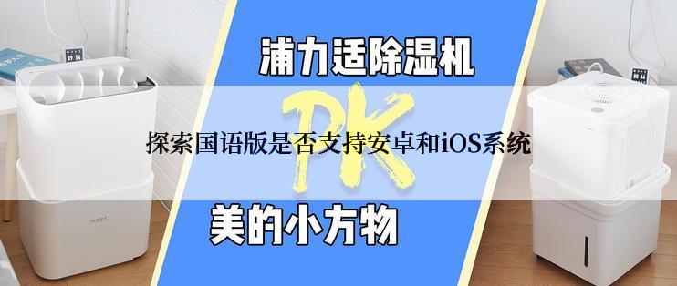 探索国语版是否支持安卓和iOS系统