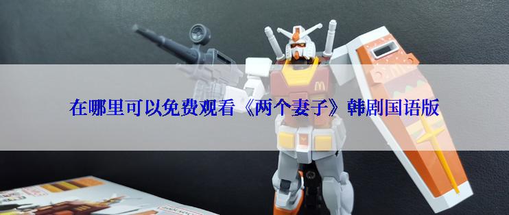 在哪里可以免费观看《两个妻子》韩剧国语版