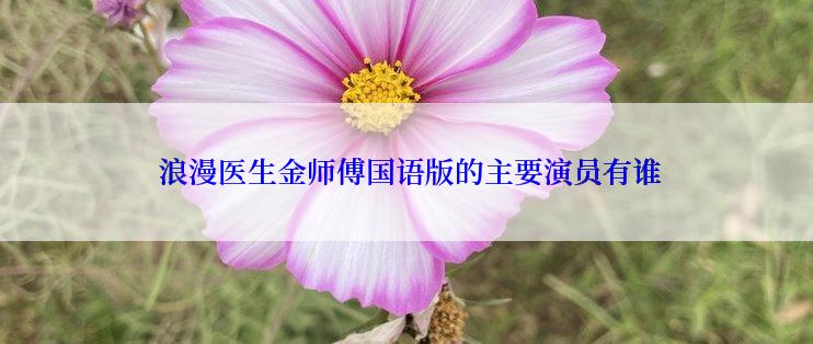  浪漫医生金师傅国语版的主要演员有谁