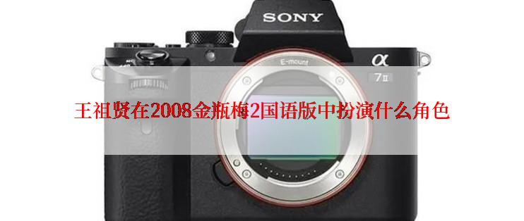 王祖贤在2008金瓶梅2国语版中扮演什么角色