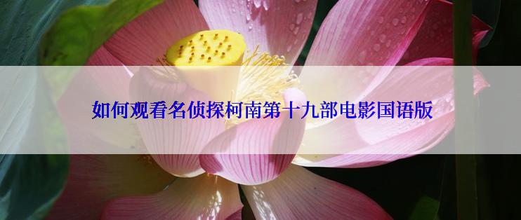  如何观看名侦探柯南第十九部电影国语版