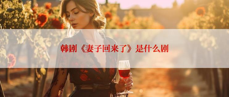 韩剧《妻子回来了》是什么剧