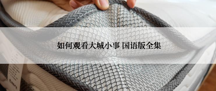  如何观看大城小事 国语版全集