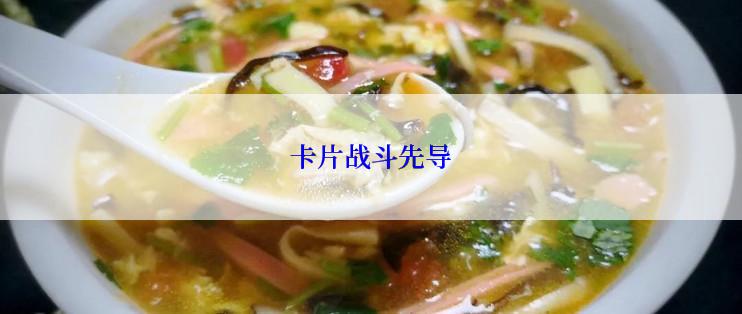 卡片战斗先导