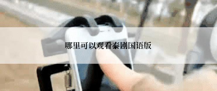 哪里可以观看泰剧国语版