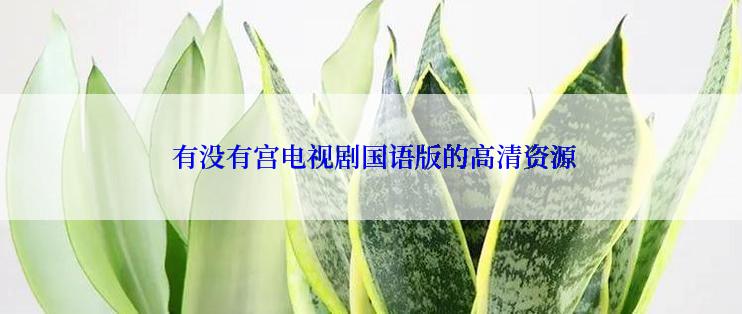  有没有宫电视剧国语版的高清资源
