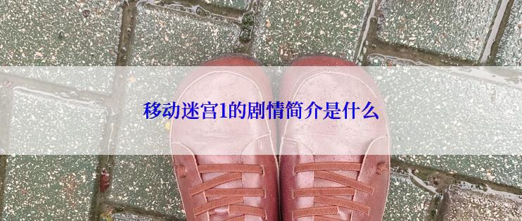 移动迷宫1的剧情简介是什么