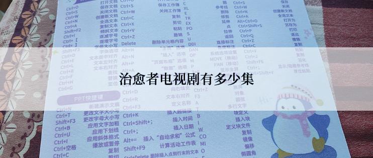 治愈者电视剧有多少集