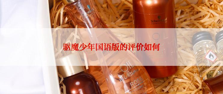 驱魔少年国语版的评价如何