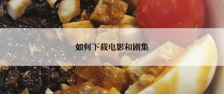 如何下载电影和剧集