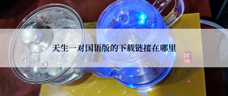 天生一对国语版的下载链接在哪里