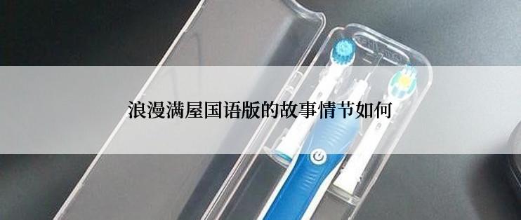 浪漫满屋国语版的故事情节如何