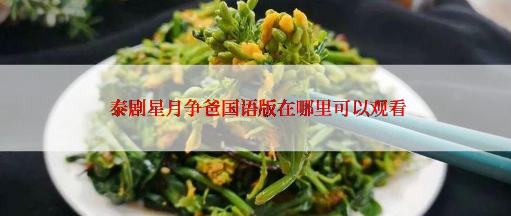  泰剧星月争爸国语版在哪里可以观看