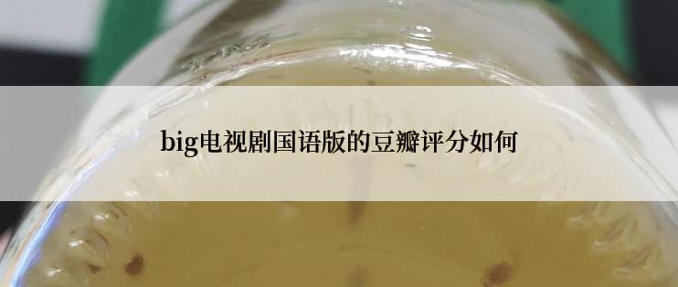 big电视剧国语版的豆瓣评分如何