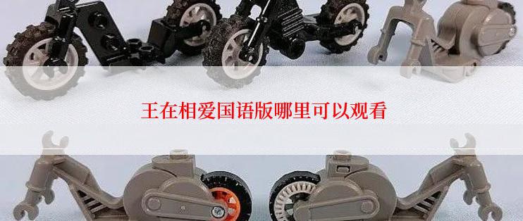 王在相爱国语版哪里可以观看