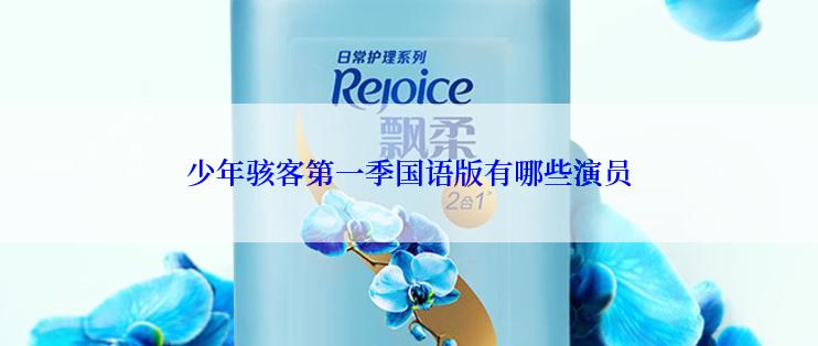 少年骇客第一季国语版有哪些演员